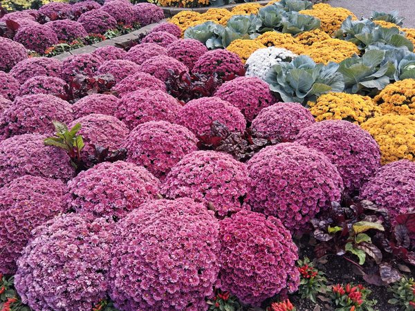 Les services de déménagement complet pour les seniors : ce qu'il faut savoir